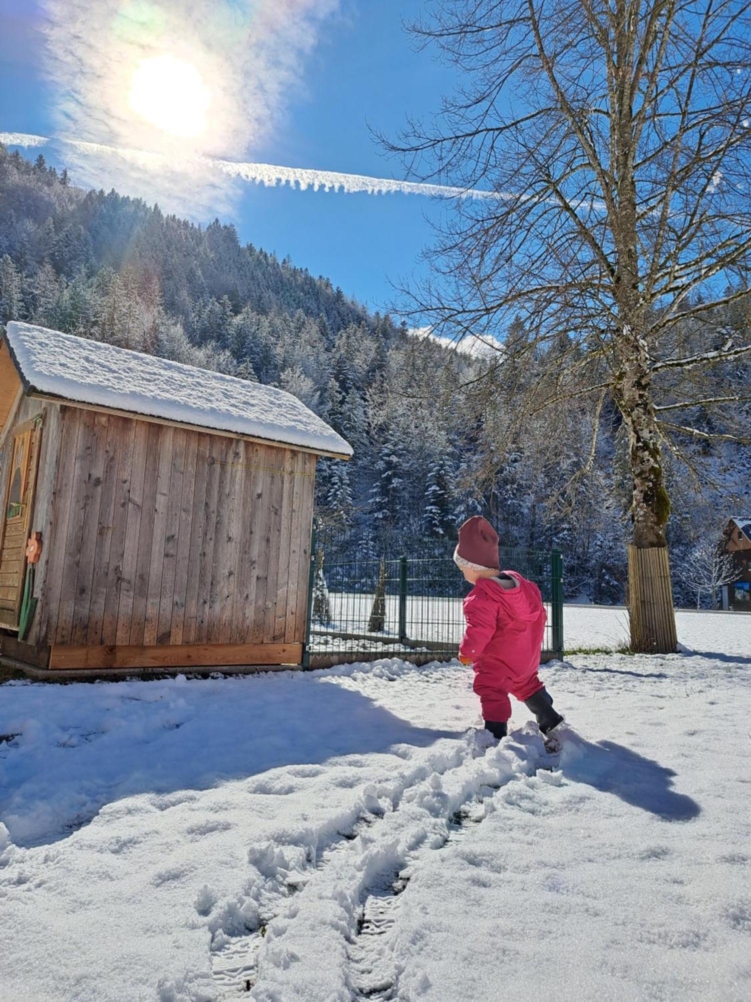 Prentnergut Appartement Hinterstoder Buitenkant foto